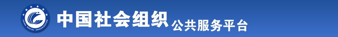 欧美成欢阁全国社会组织信息查询